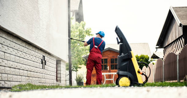 Best Solar Panel Cleaning  in Walnutport, PA